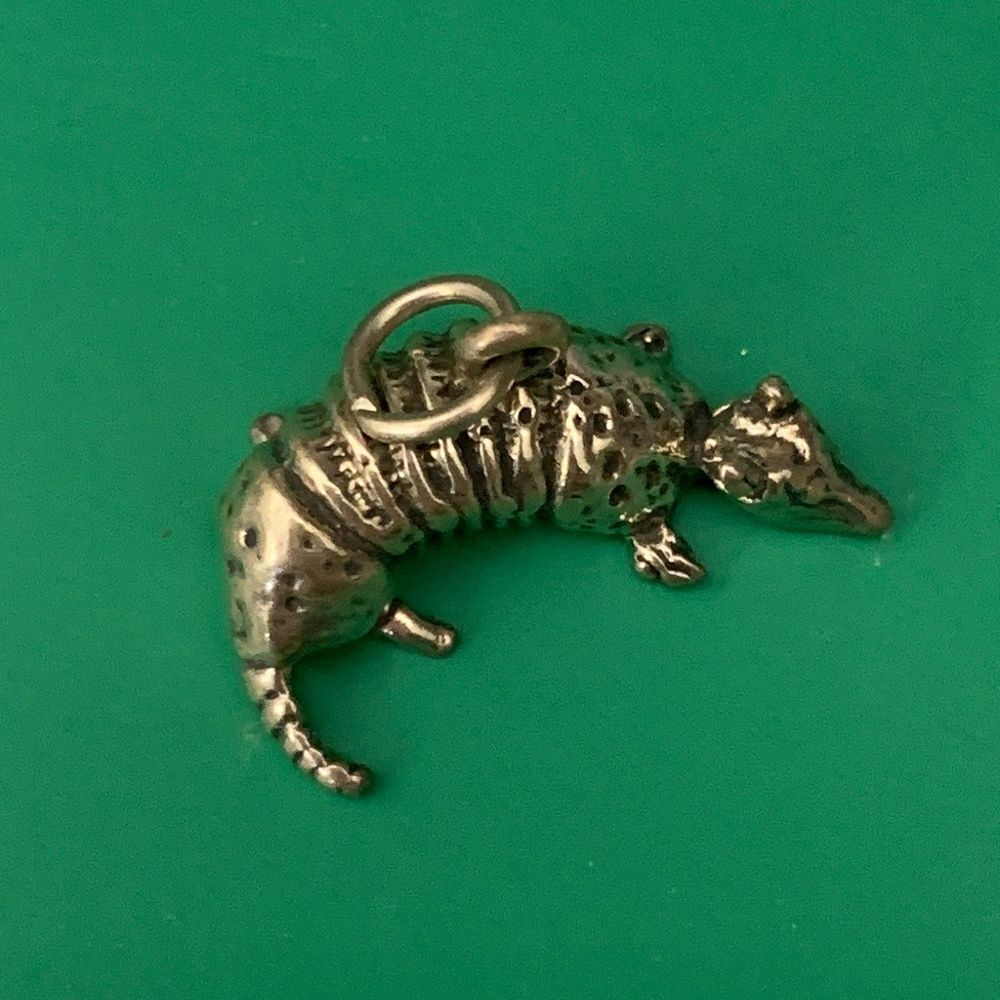 Armadillo Sterling Silver Jewelry Charm #wildlife #armadillo #Texas